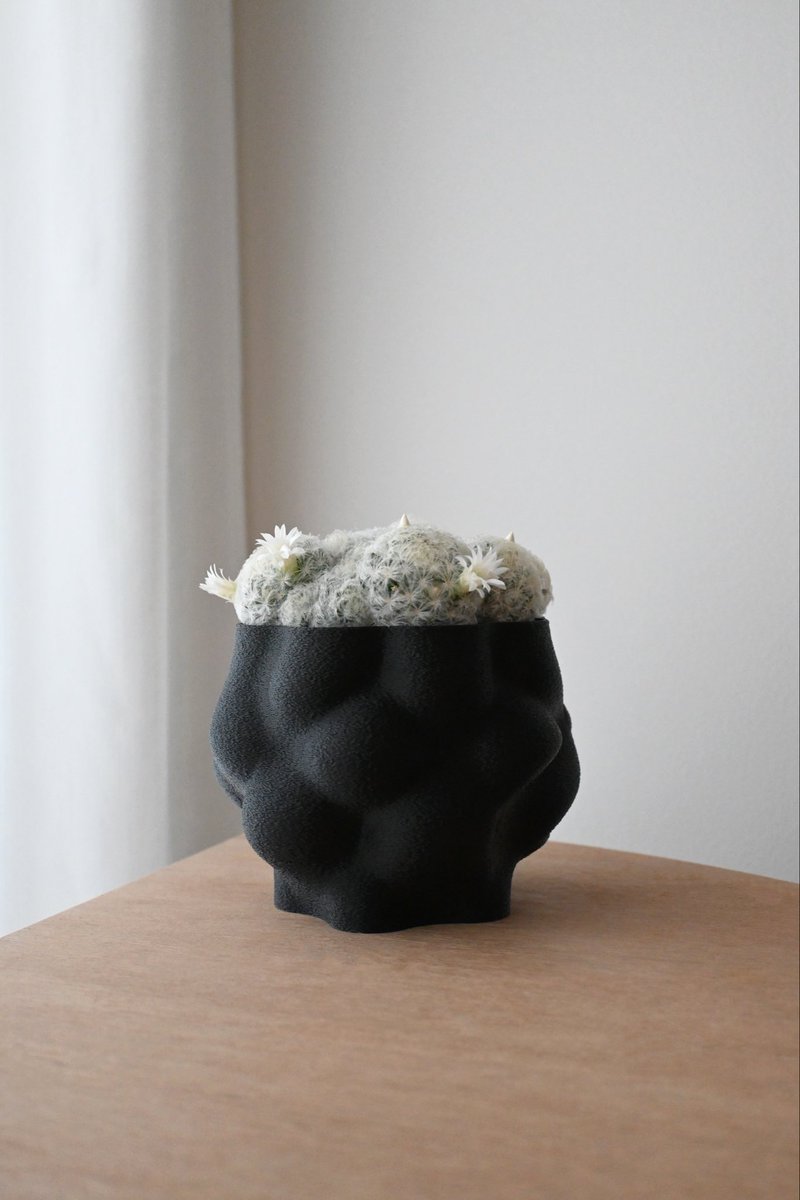 88junray's tweet image. 勢いで買ってしまったもくもくサボテンに合わせてもくもくの鉢をつくった。
つくってるうちに花がでてきた🌵