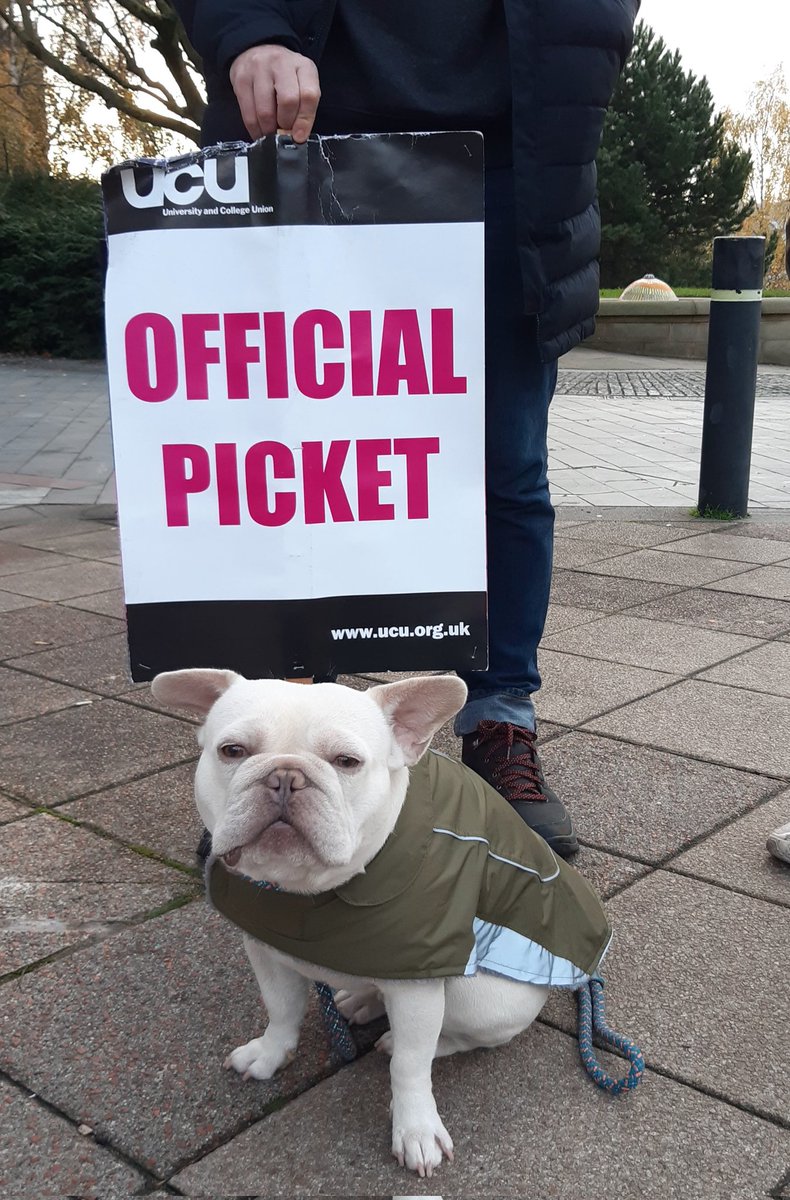Strike Day 2:
Pickets at Owen Building &amp; HoTC, 8-11am. Dispute info here: ucuhallam.org
The fight is against compulsory redundancies &amp; poor governance.
#SaveSheffieldHallam