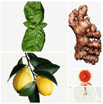 guestspply_asia's tweet image. Dawn in APAC: basil whispers, lemon sparks. Our BASIL LEMON range arrives in sleek dispenser bottles—refreshing, bright, unmistakably Greek.
​
#KORRES #GreekBeauty #HotelCollection #GilchristandSoames