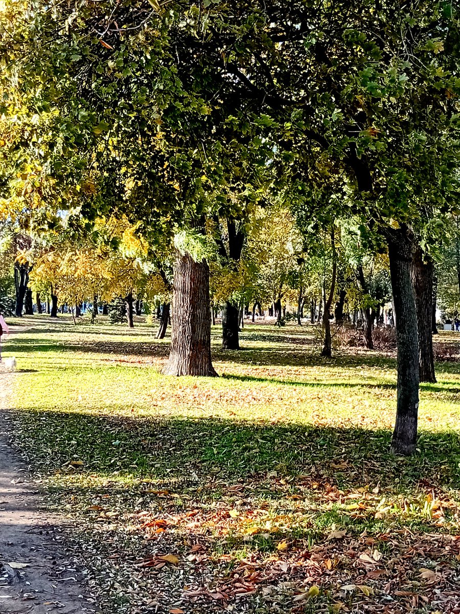 Катерина Галич tweet media