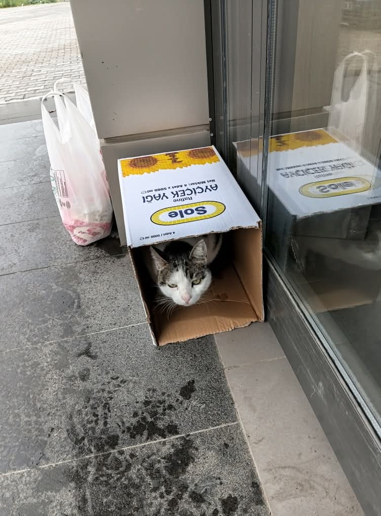 Öğretmen tweet media