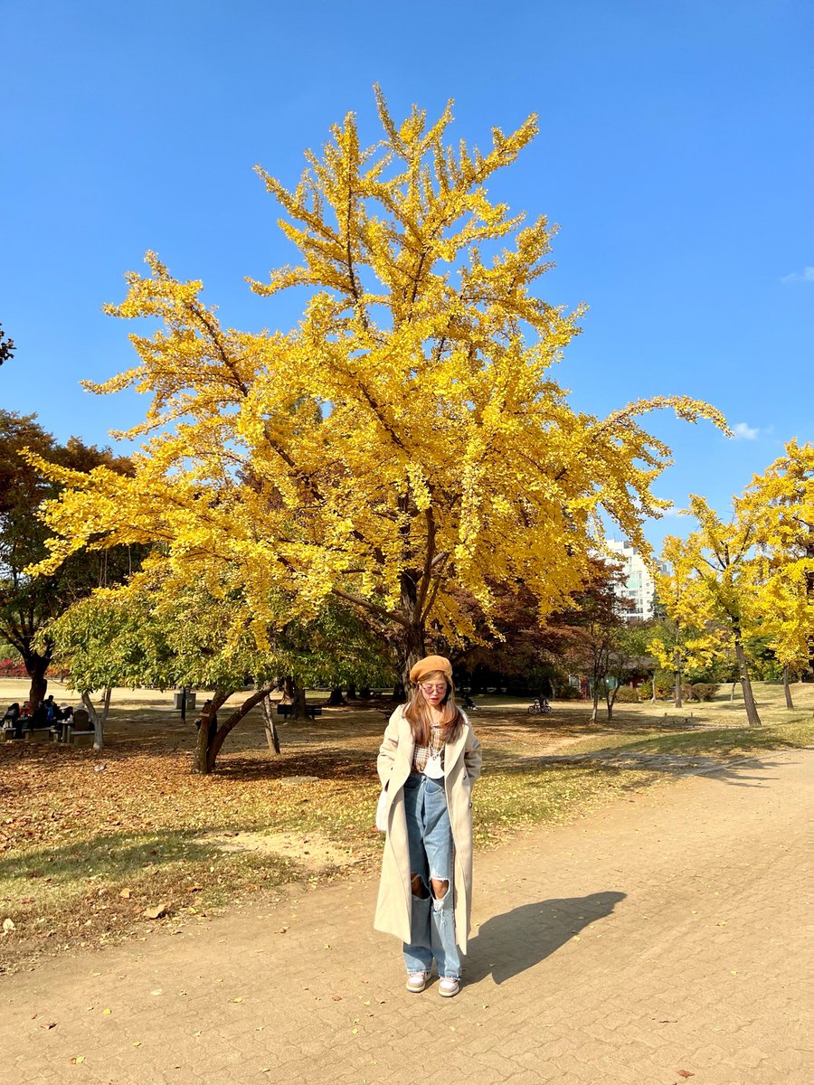 pjmsgc⁷ tweet media