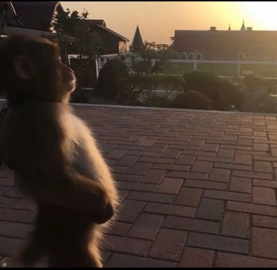 الحياه بدون مذاكره قدرات