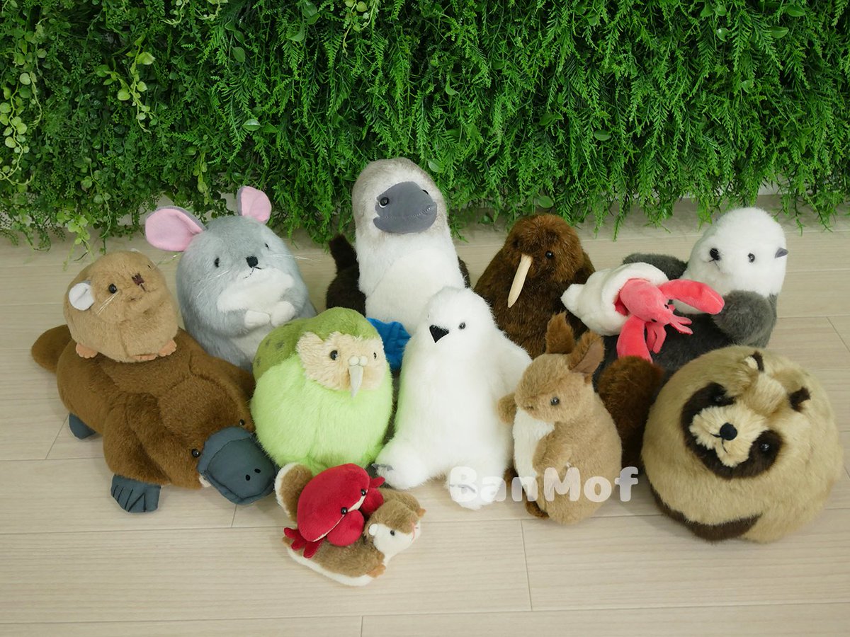 BanMof ばんばぱえりあ ラッコ ブラウン ぬいぐるみ GALLERY