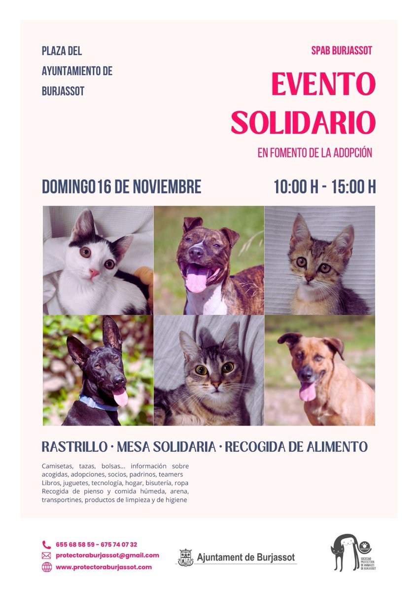 Este domingo tenemos rastrillo en el ayuntamiento de Burjassot 🐕 ¡Te esperamos!