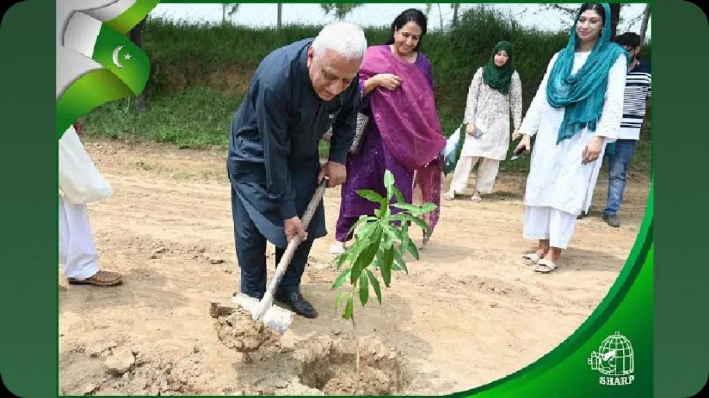 elixir_john's tweet image. This image says it all 🌿
It starts with you. Make a difference.

View the post 👉 app.ecox.network/community/post…
Earn GREEN on @ECOX_ECOToEarn while you act:
app.ecox.network/register?refCo…

#ECOX #GREEN #ECO_TO_EARN