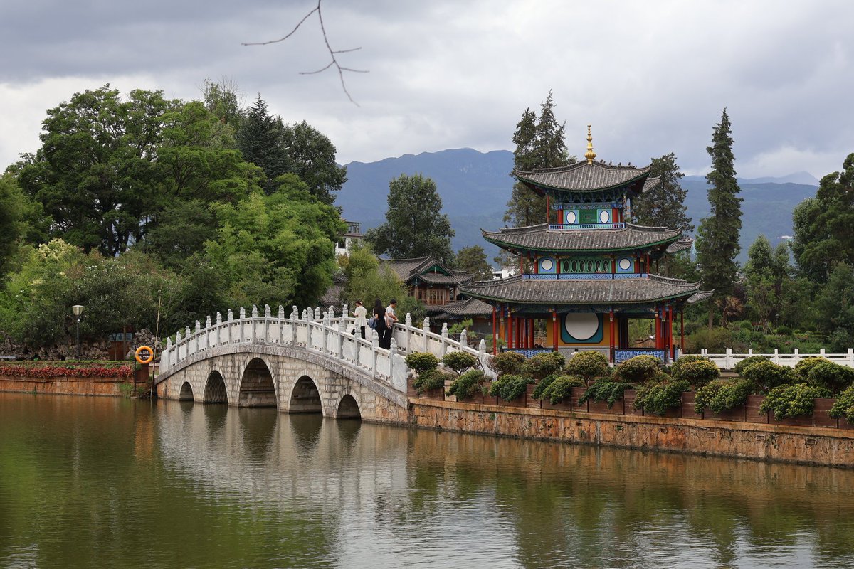 TreeRegister's tweet image. The Tree Register Lecture.
The Plant Hunters.

LAST COUPLE OF DAYS TO BUY YOUR TICKETS. 

A fundraising lecture by Seamus O’Brien.

📍 Royal Geographical Society, London

📅 12 November 2025 | £25

🎟 Tickets: bit.ly/42WGqLm