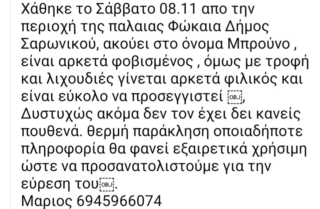 KatKatPt's tweet photo. 🆘️🆘️🆘️
Χάθηκε το Σάββατο 8/11 απο την περιοχή παλαιά Φώκαια Δήμος Σαρωνικού 
Ακούει στο όνομα Μπρούνο,είναι αρκετά φοβισμένος όμως με τροφή κ λιχουδιές είναι φιλικός κ είναι εύκολο να προσεγγιστει
Για οποιαδήποτε πληροφορία καλέστε άμεσα στο τηλ 
Rt 🙏 🙏 🙏 https://t.co/sGqo42vg1m