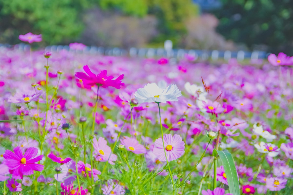 K　Taページ カズポットⅡ on X