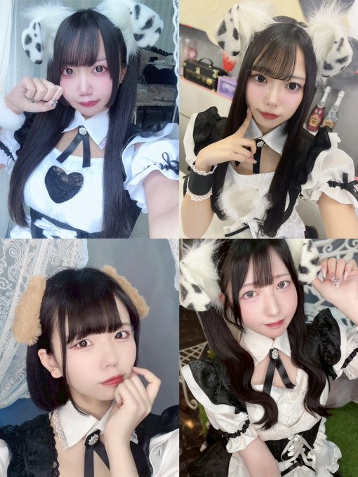 わんわんPRIMOのツイート