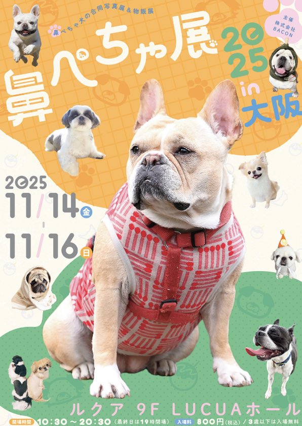 ☆な〜ちん☆ (@Ranmaru0211) / Posts / X