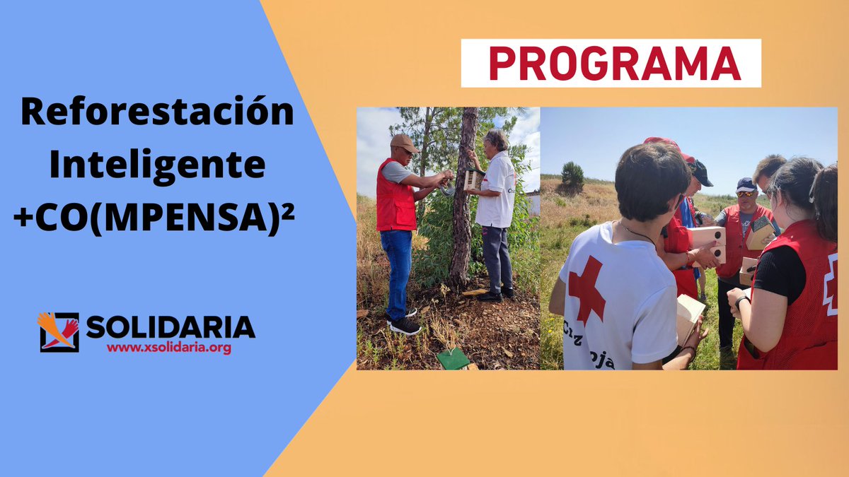 Al marcar la #XSolidaria o casilla de #FinesSociales ✅ en tu declaración de la renta apoyas proyectos como “Reforestación Inteligente +CO(MPENSA)²”de <a href="/CruzRojaEsp/">Cruz Roja Española</a> para frenar la pérdida de biodiversidad y la restauración de ecosistemas degradados.