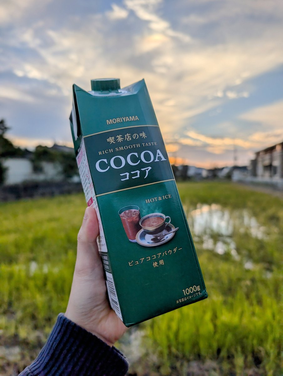 ココア the cocoa／ハイカカオとスパイスのココア｜商品ページ｜INSPICE公式