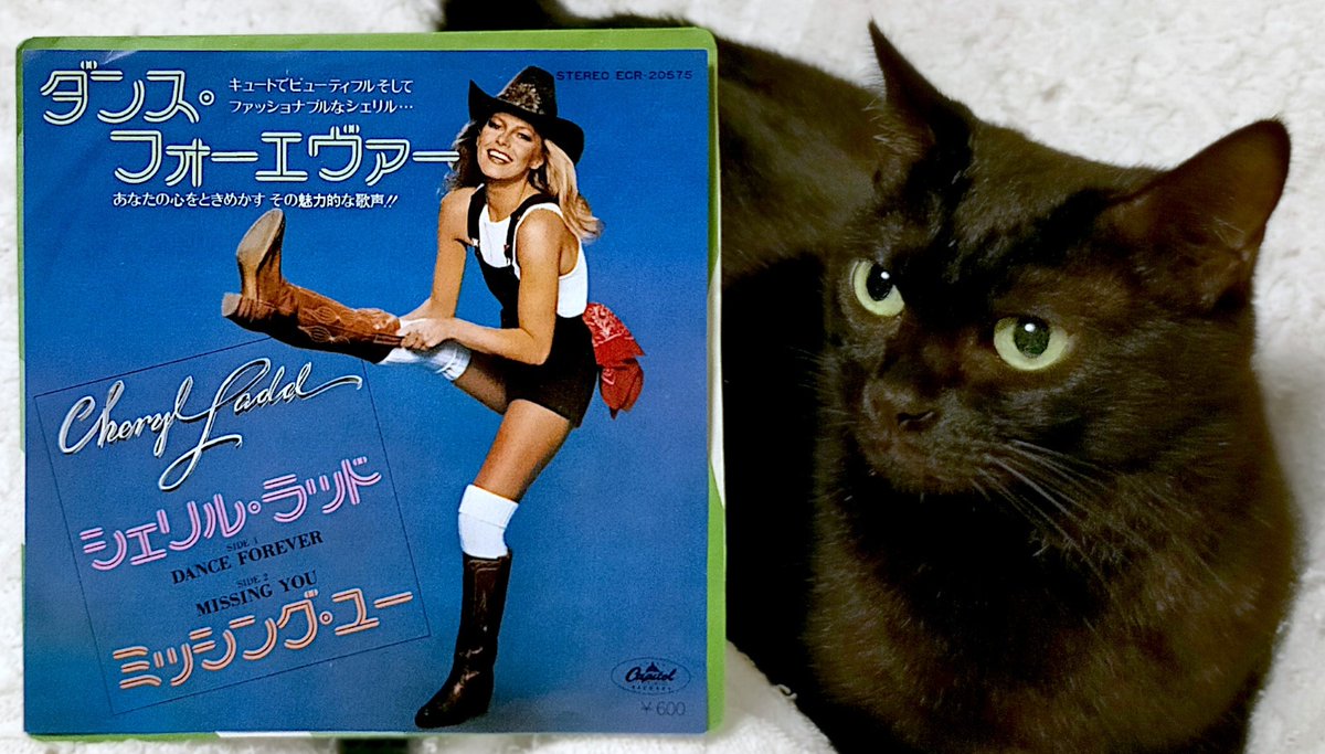 ラビンドラ・ダンクス 猫その2 RabindraDanks SHOP