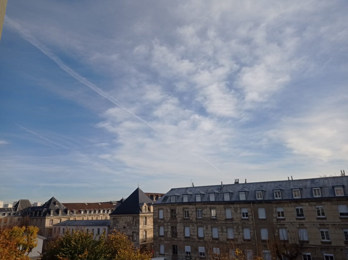 CryoCapCell tweet media