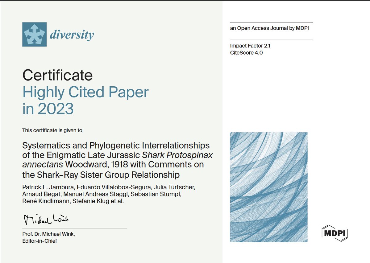 DiversityMDPI's tweet image. 📖Highly Cited Paper:

🦈Systematics and Phylogenetic Interrelationships of the Enigmatic Late Jurassic Shark Protospinax annectans Woodward, 1918 with Comments on the Shark–Ray Sister Group Relationship

👥P.L. Jambura et al.
🔗brnw.ch/21wXpDp

#phylogenetics