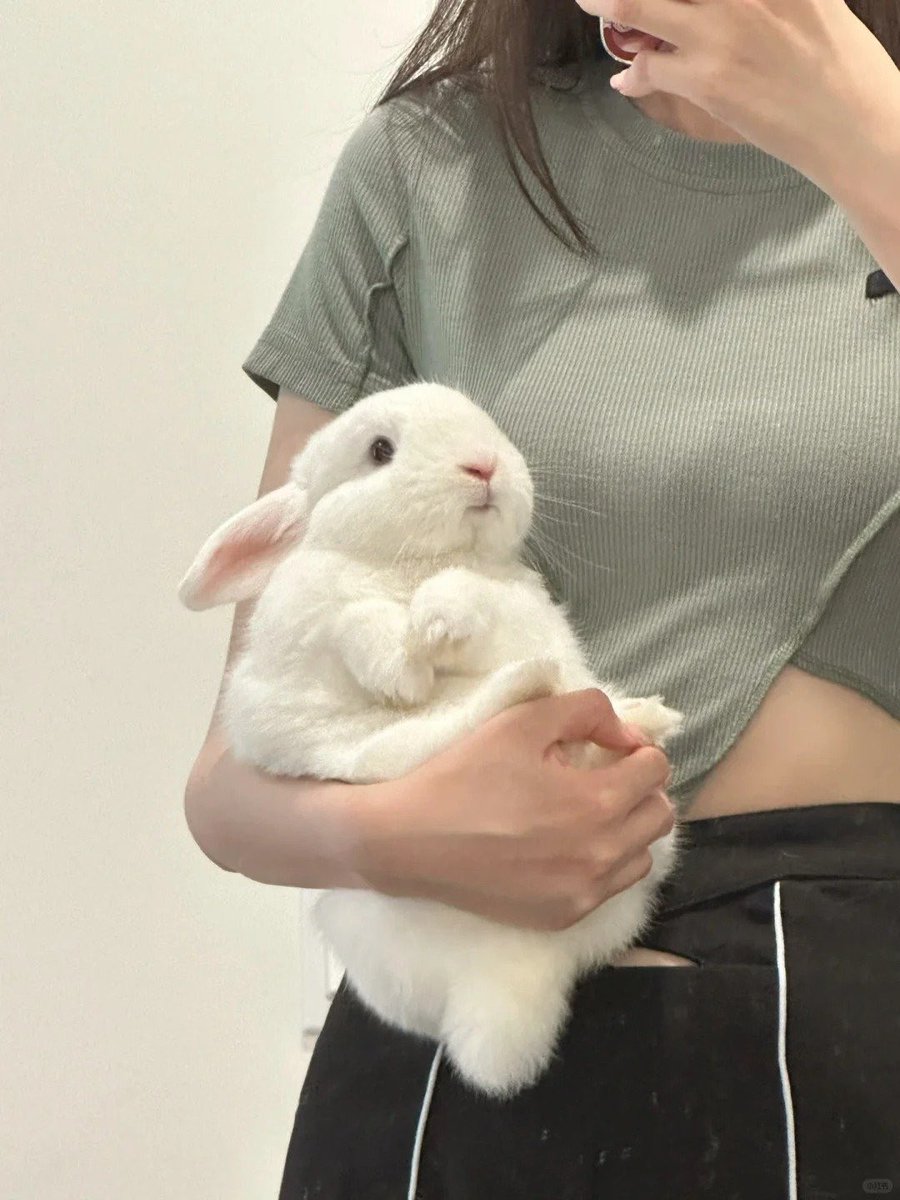 ShouldHaveRabit's tweet photo. https://t.co/olBq9O5GYt