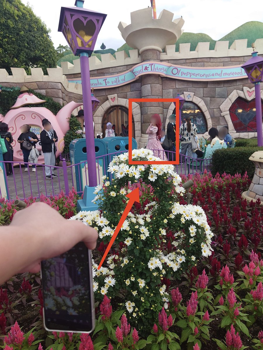 かまぼこ🎃 (@kamabokotikuwa) / Posts / X