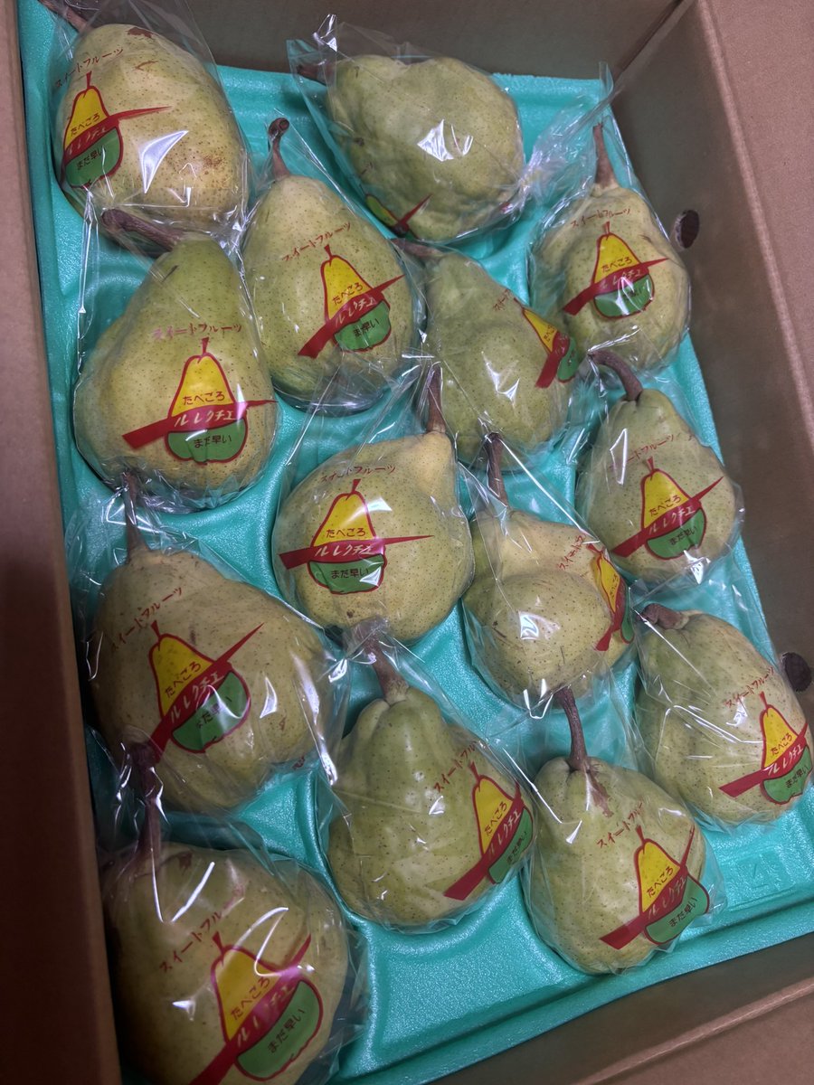 よしぞ (@yoshizo0911) / Posts / X