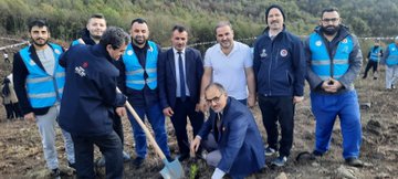 First image shows large group of adults in vests and headscarves standing and kneeling around banner reading Duzce Il Müftülüğü Milli Ağaçlandırma Günü with planted saplings shovels and watering cans on dirt ground against forested hillside. Second image depicts men in suits and vests digging and planting sapling with shovels in soil near fence on barren hill. Third image features diverse group of older and younger men in formal attire and vests holding shovels around small tree and banner on dirt field with hills in background. Fourth image captures individuals including men in suits pouring water from green can onto young tree while others hold shovels on elevated dirt mound with group in distance.