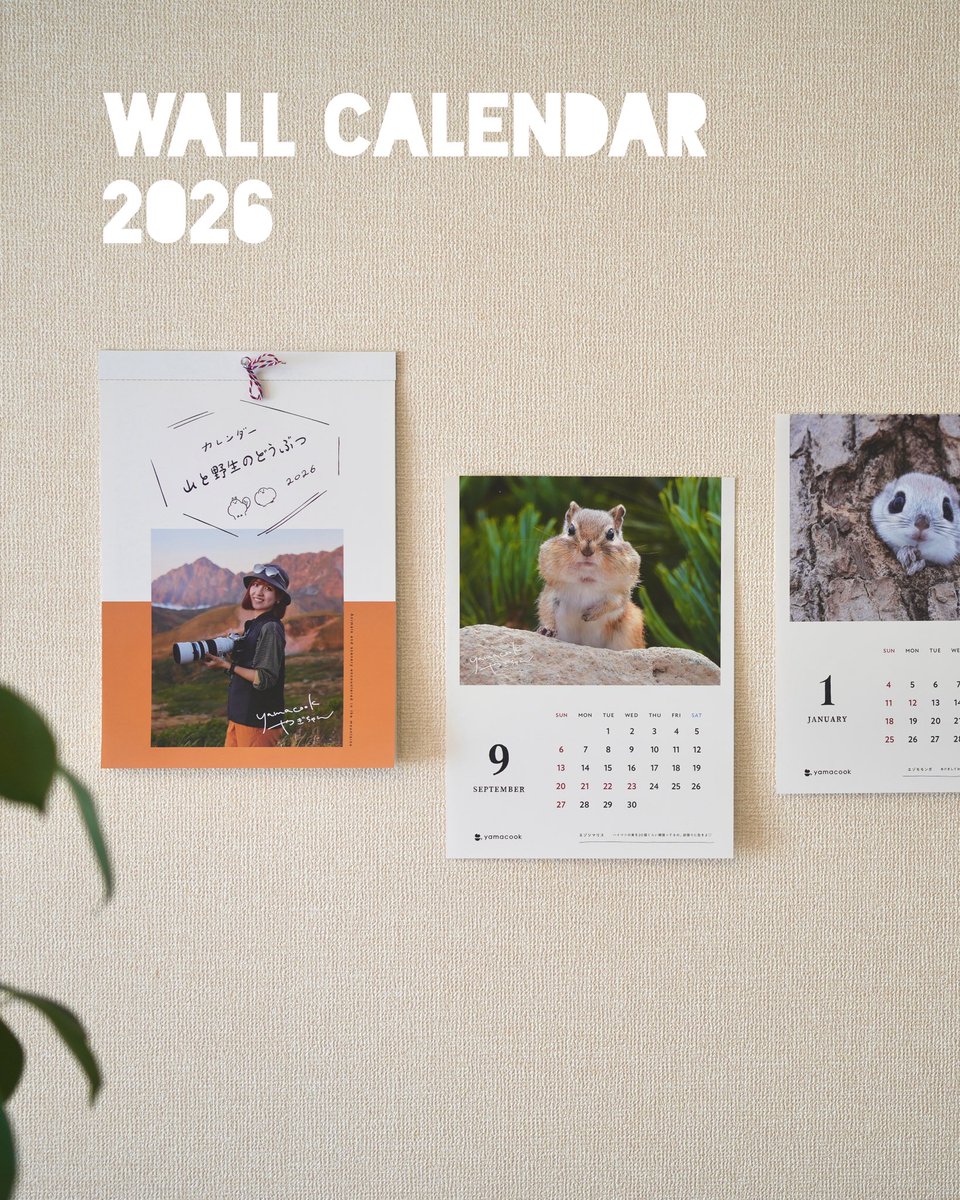 やぎちゃん🏔️長野の登山YouTuber (@yamacook1) / Posts / X