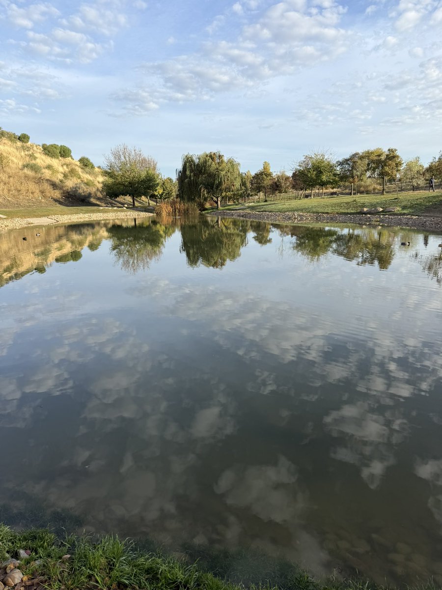 José Carlos Díez tweet media