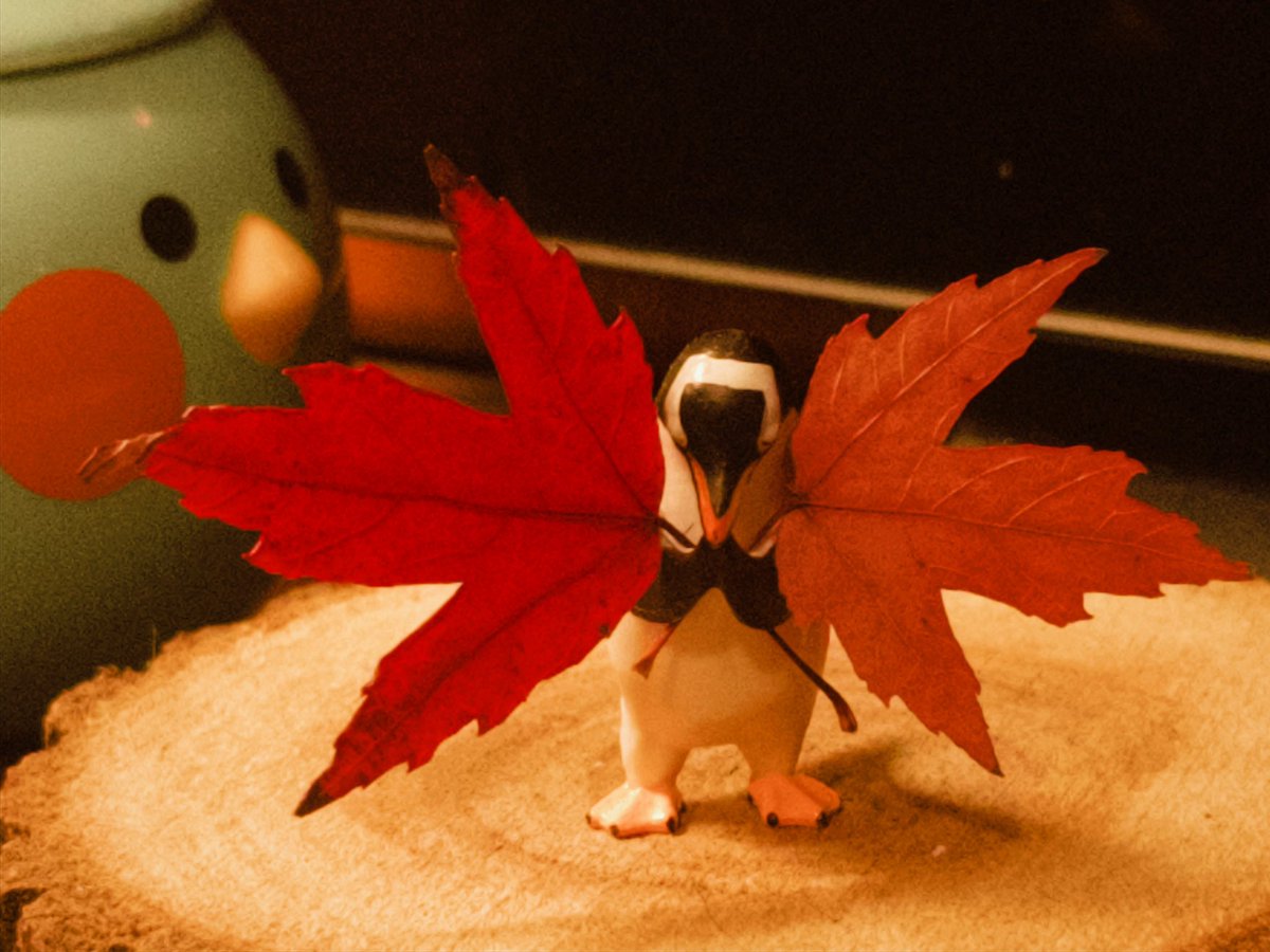 🍁