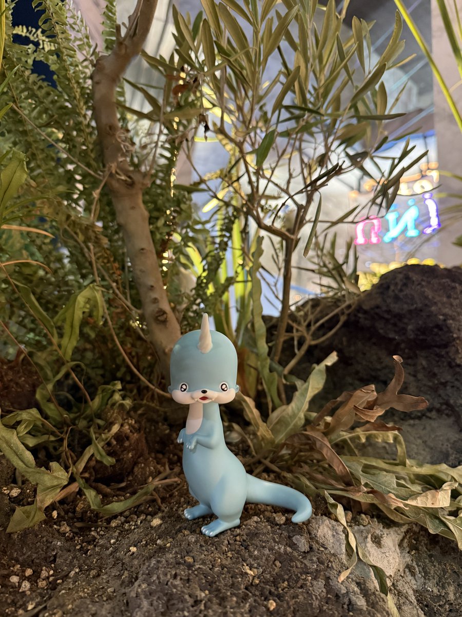 人里まで降りてきた、イッカクカワウソがジッと見つめている