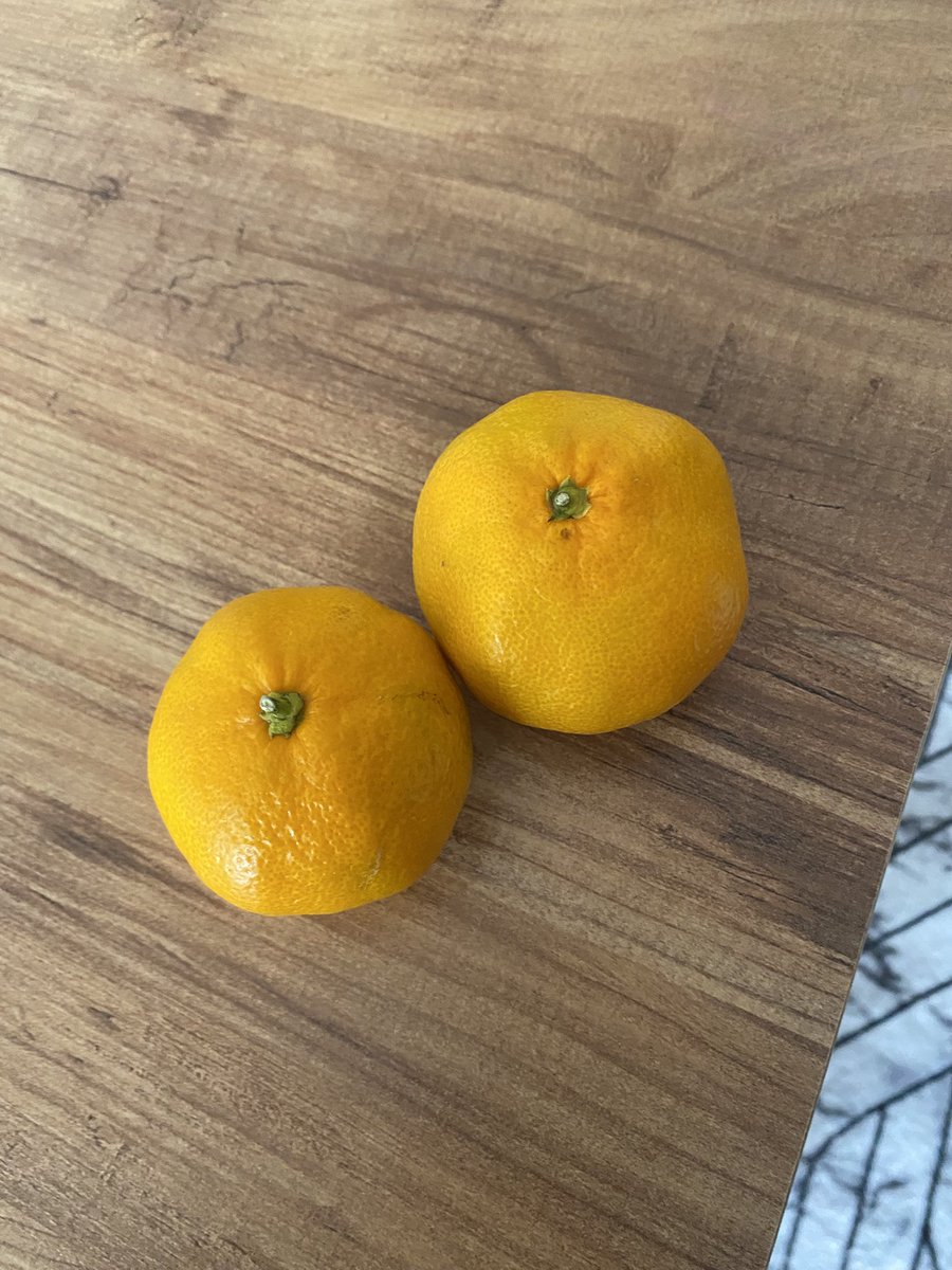 sarı mandalina.. hala bi yerlerde var olma savaşı içerisindeler