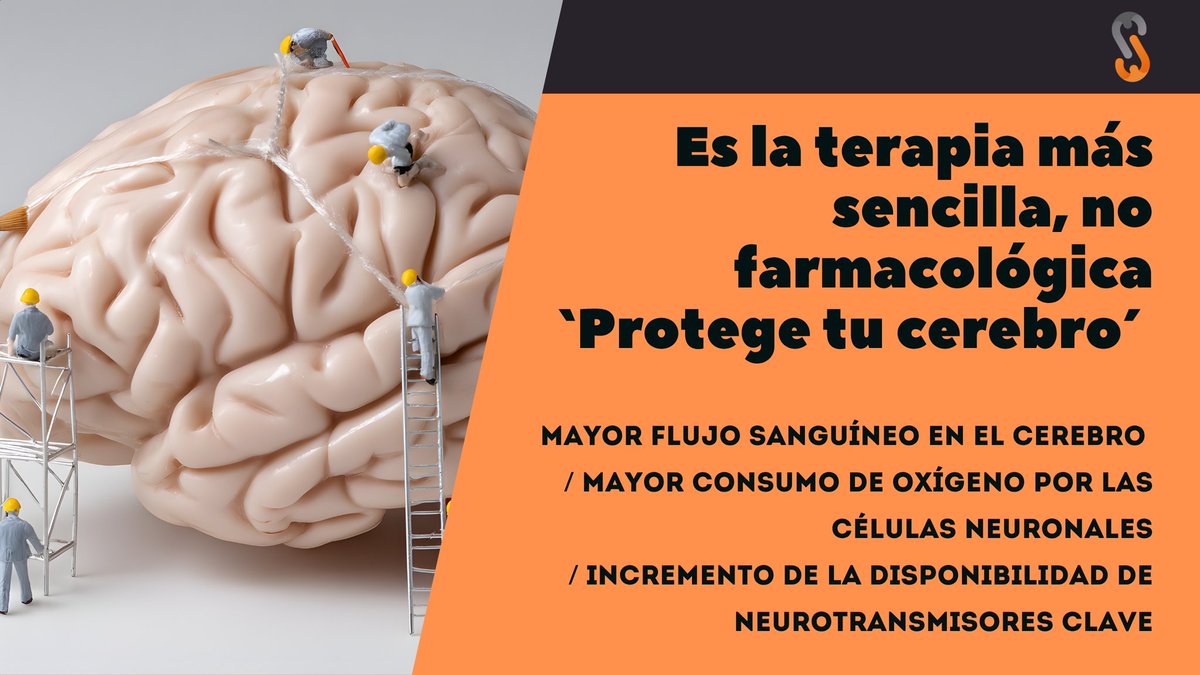 Seriem Center tweet media