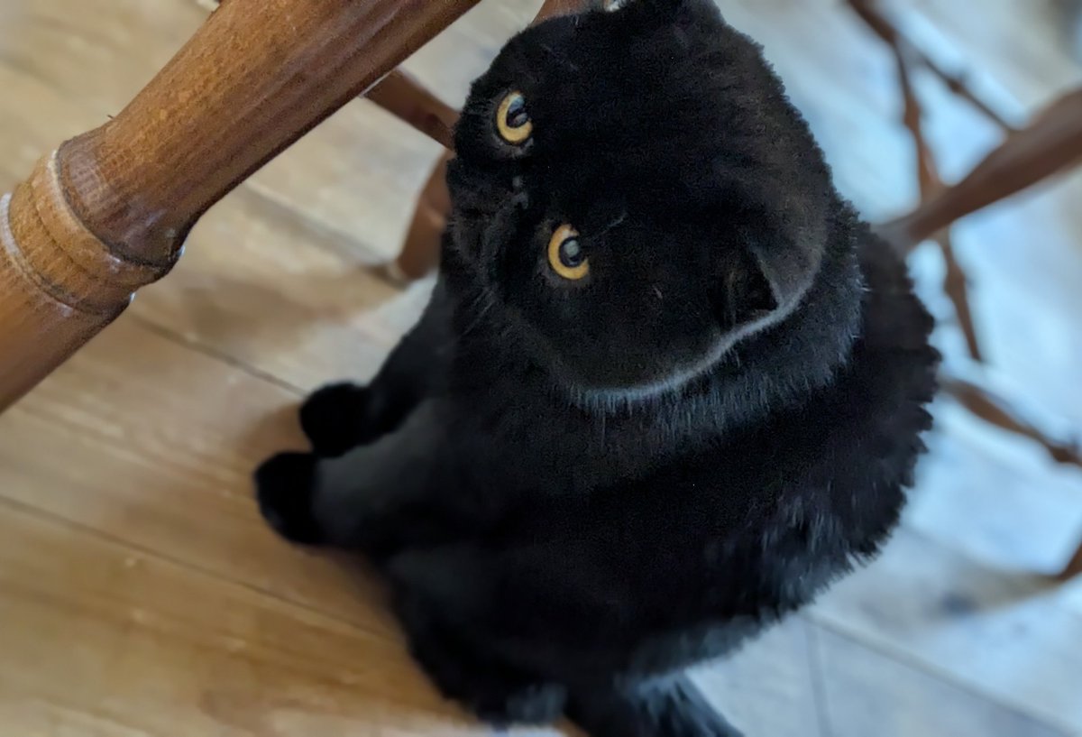 ブーオレオ on X