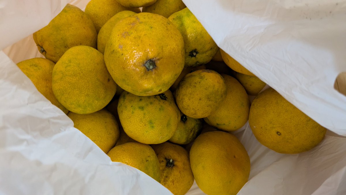 さささ (@41300413ina) / Posts / X