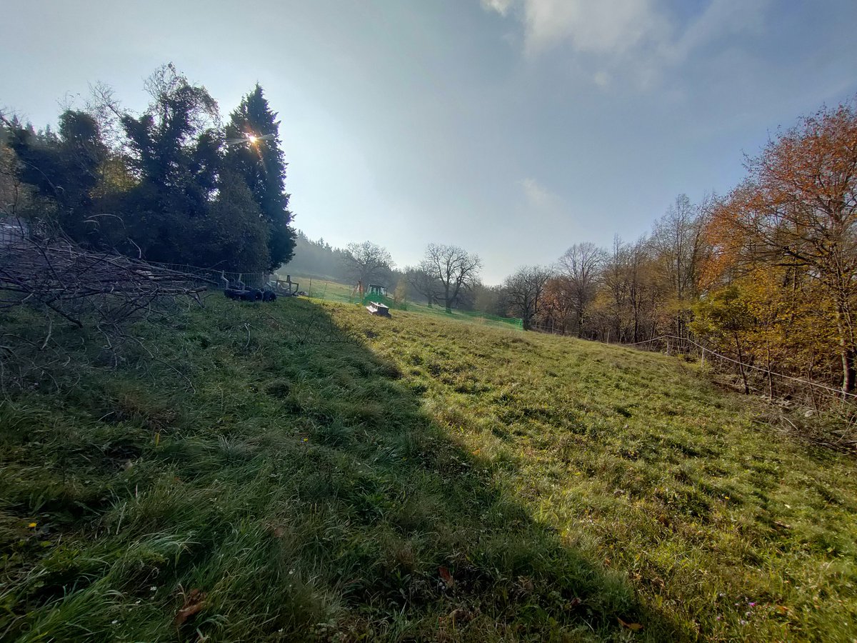 Good morning #treepeople