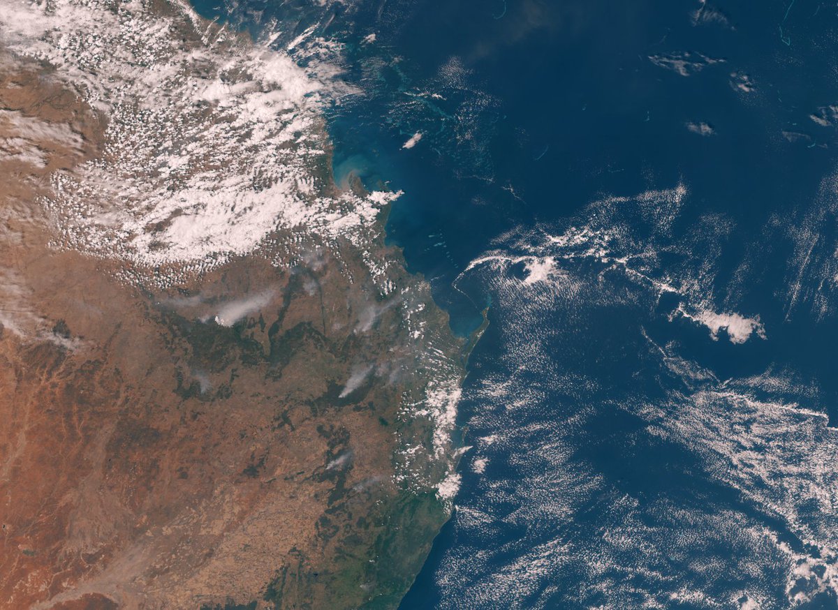 John Bell tweet media