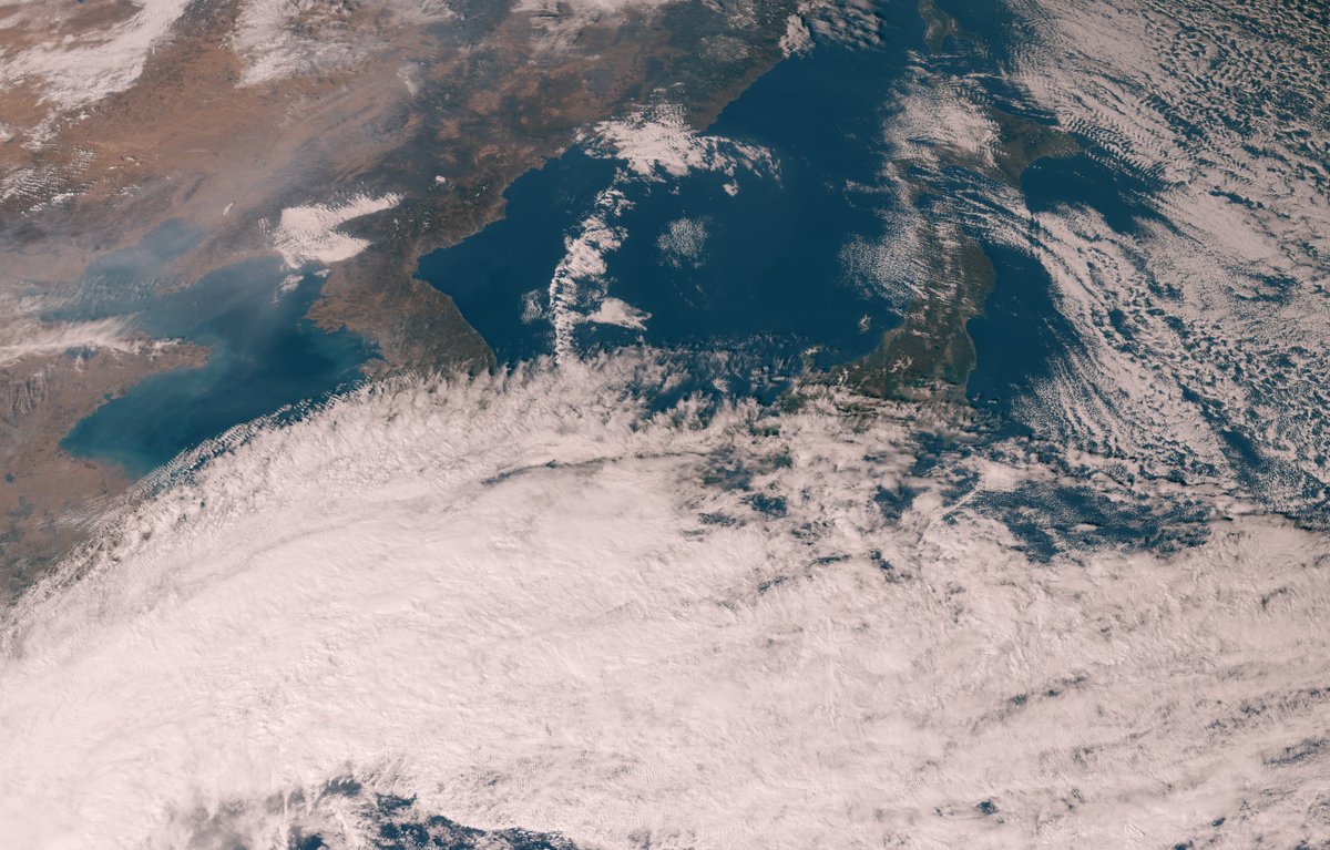 John Bell tweet media