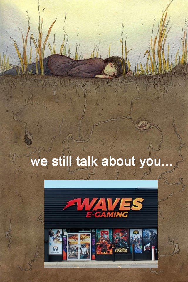 Ontario FGC (@ontariofgc) on Twitter photo 