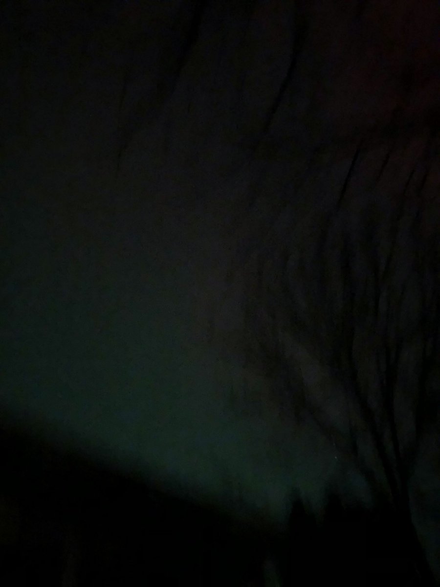 Saskanuck 🌸🌷🌻 tweet media