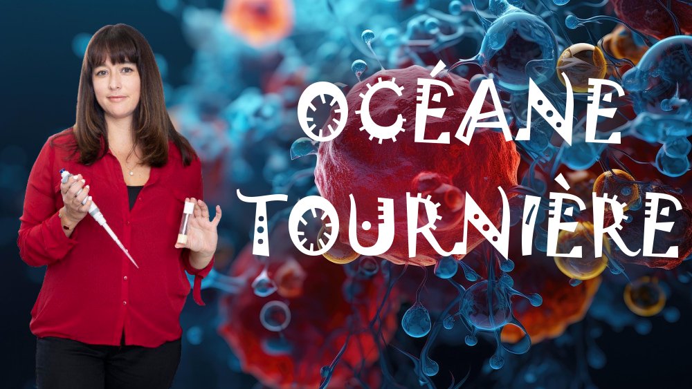 Océane Tournière est chercheuse et vient d'être distinguée du prix L'Oréal Unesco pour les Jeunes Talents.
Elle nous parle de son parcours et de ses passions.

youtu.be/q82yWAOLS8A

<a href="/FondationLOreal/">Fondation L'Oréal</a>