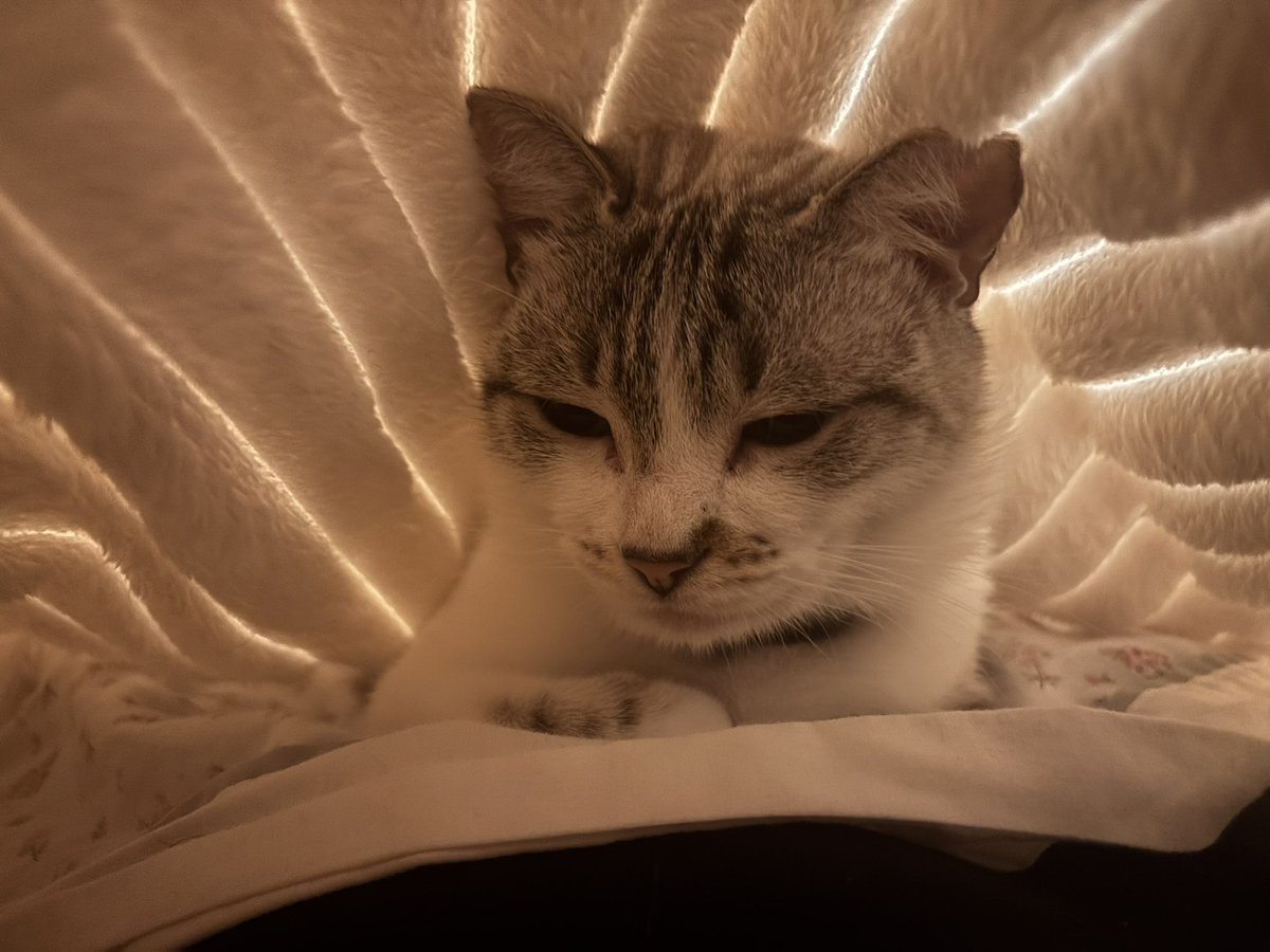 poco a poco te la estoy robando <a href="/xparga/">Oscar Parga</a>