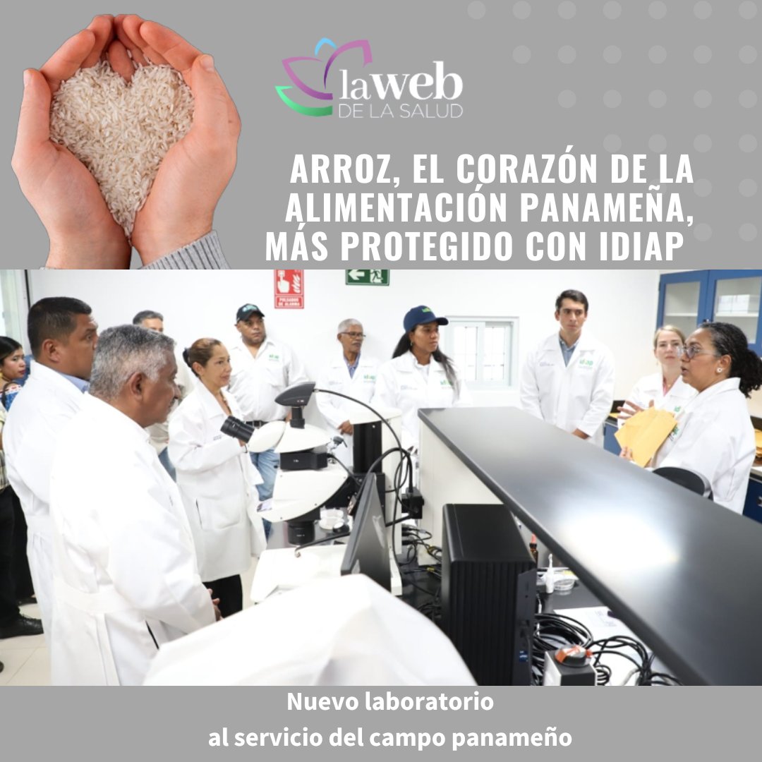 Arroz, el corazón de la alimentación panameña, estará más protegido con moderno laboratorio del <a href="/IDIAP_PA/">IDIAP Panamá</a> con apoyo de la <a href="/senacyt/">Senacyt Panamá</a> <a href="/el_BID/">Banco Interamericano de Desarrollo</a> 
<a href="/EOrtegaBarria/">Eduardo Ortega-Barria</a> <a href="/MIDAPma/">Ministerio de Desarrollo Agropecuario</a> <a href="/UNIVERSIDAD_PMA/">Universidad dePanamá</a> 
lawebdelasalud.com/arroz-el-coraz…
