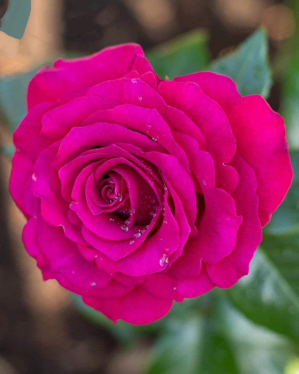 اصنع من نفسك شخصا يحبه الله لا البشر 

#مساء_الخير