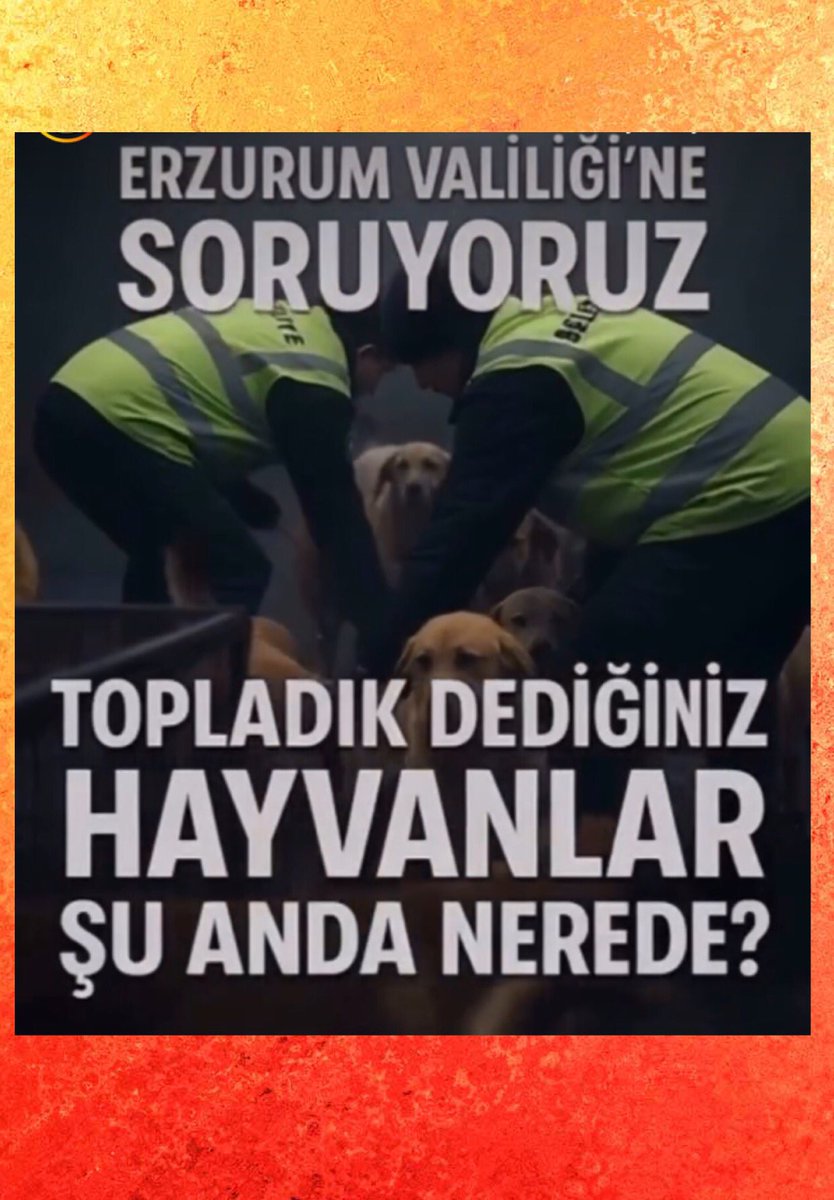 Soruyoruz?

11.581 köpek NEREDE?

<a href="/miamustafacftci/">Mustafa ÇİFTÇİ</a>
<a href="/ErzurumValiligi/">T.C.Erzurum Valiliği</a> 

#ErzurumdaKatliamVar
