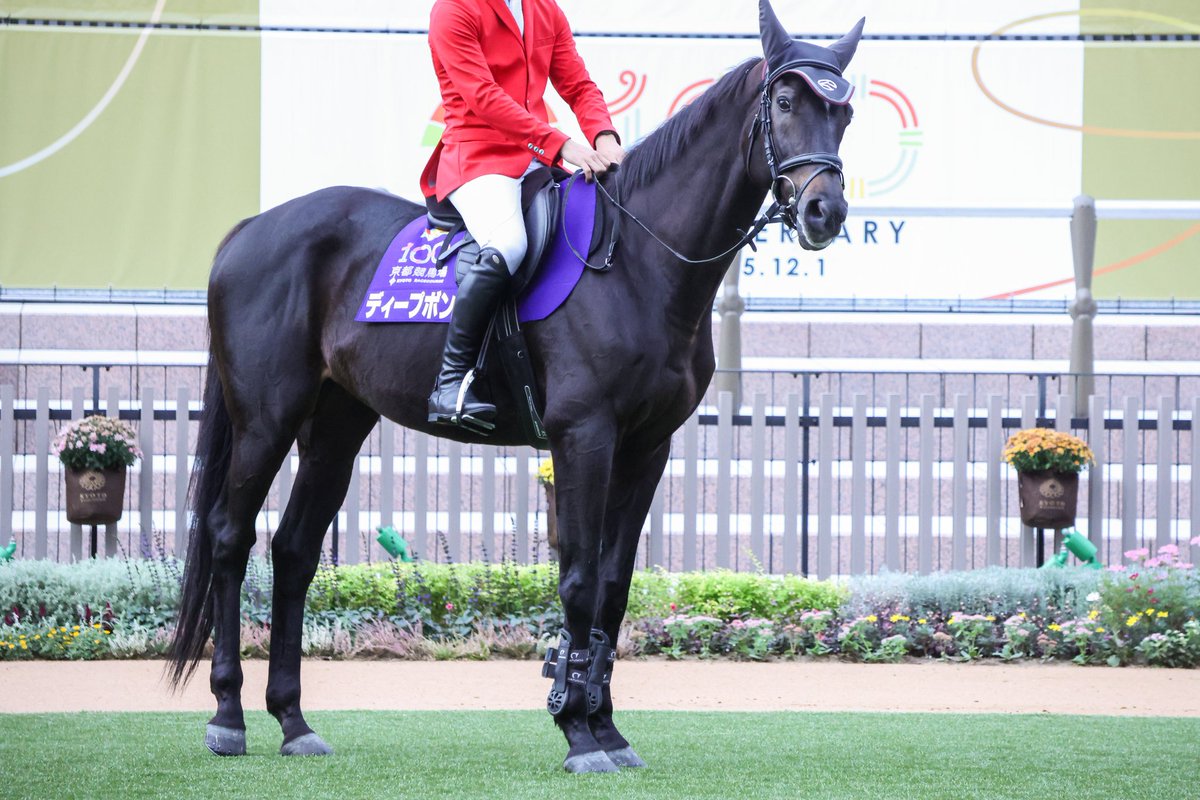 カンナ (@61kanna3) / Posts / X