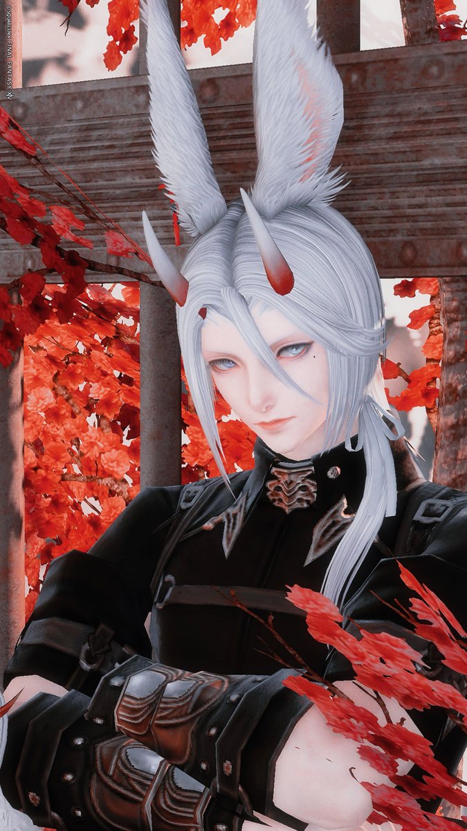 ぽむぽむ・ぷりん🍮 (@pom_____san) / Posts / X