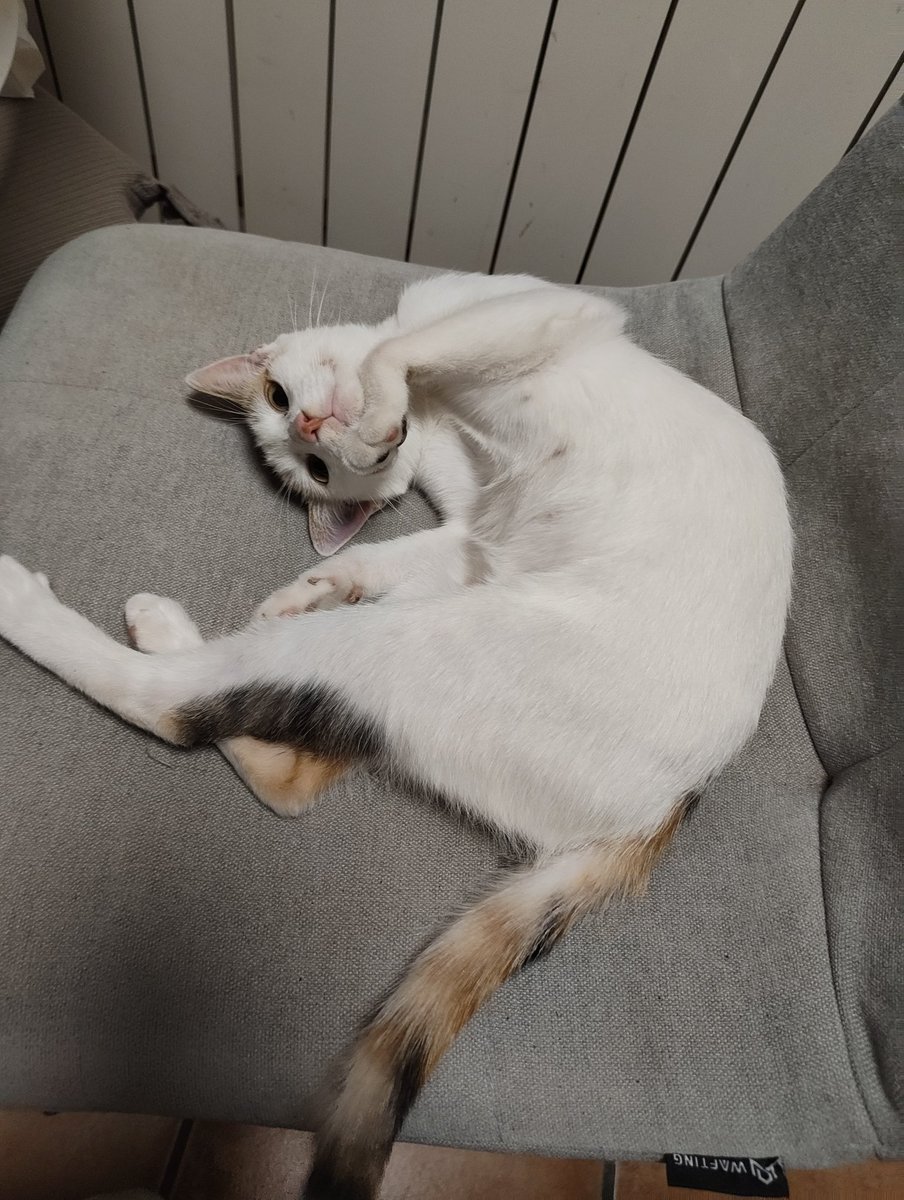 lu ¡! ⊹.˚ tweet media