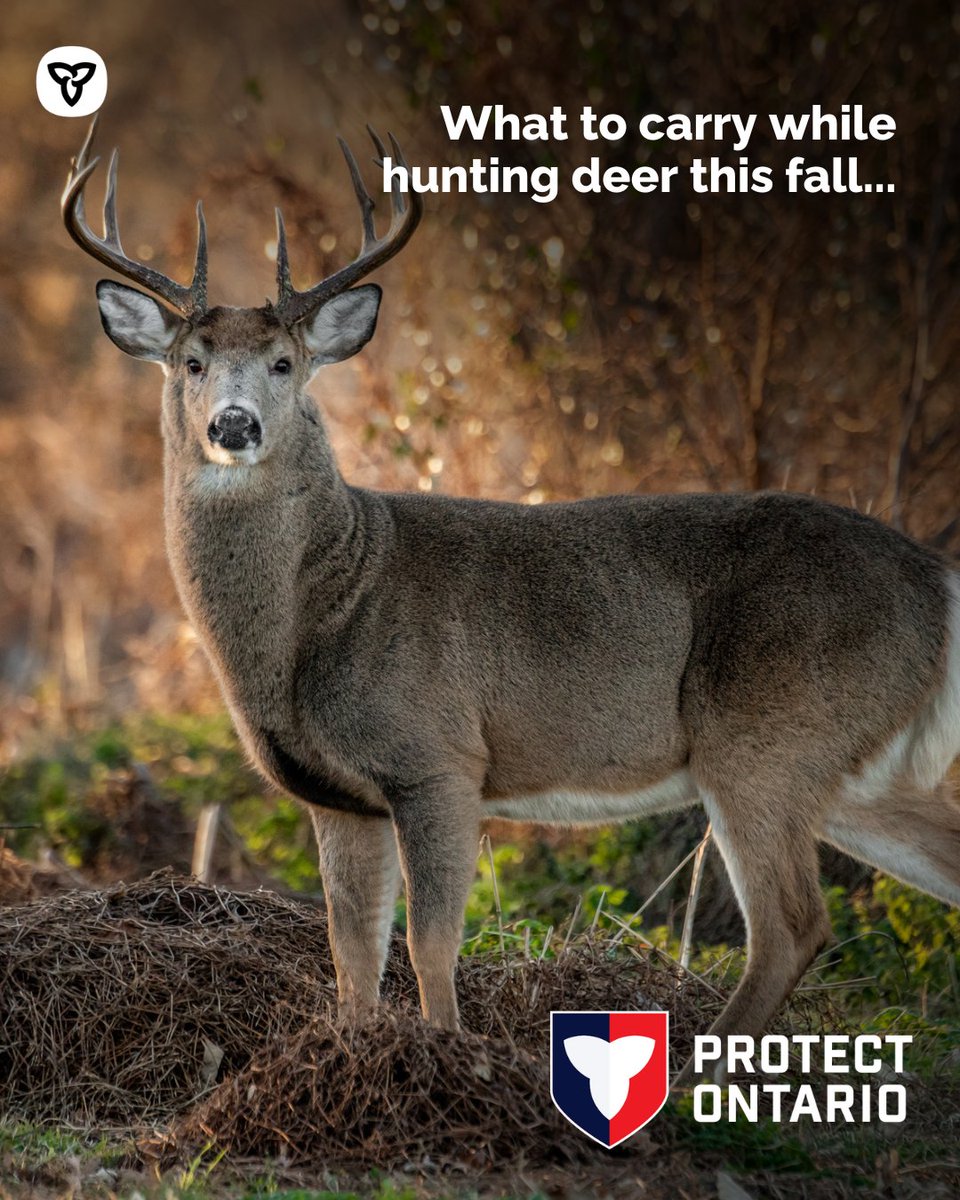 Ontario Fish and Wildlife tweet media