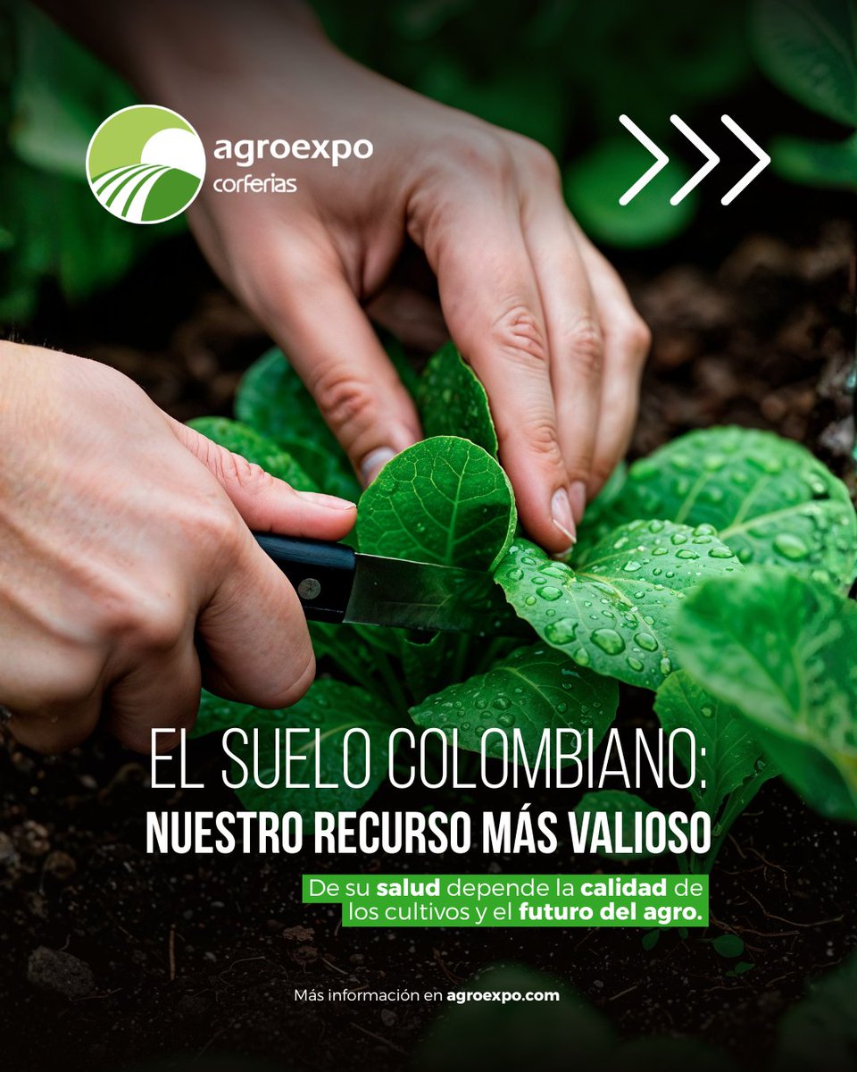 Agroexpo Colombia tweet media