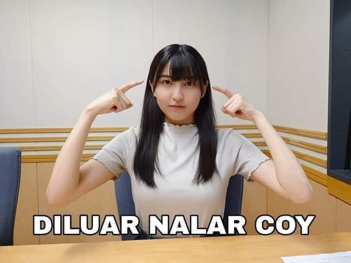 makin hari makin halu
