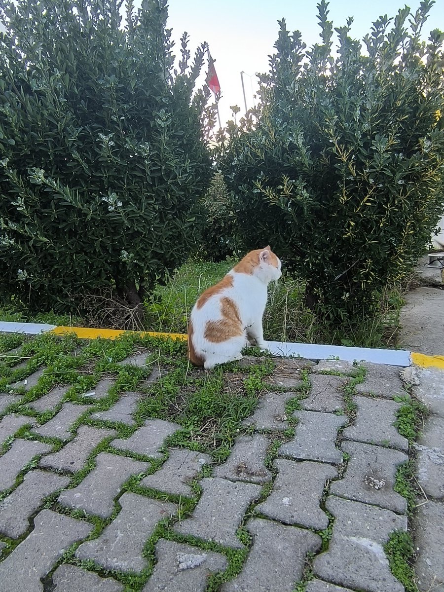 habercisi geldi, kendisi yine yokkkk