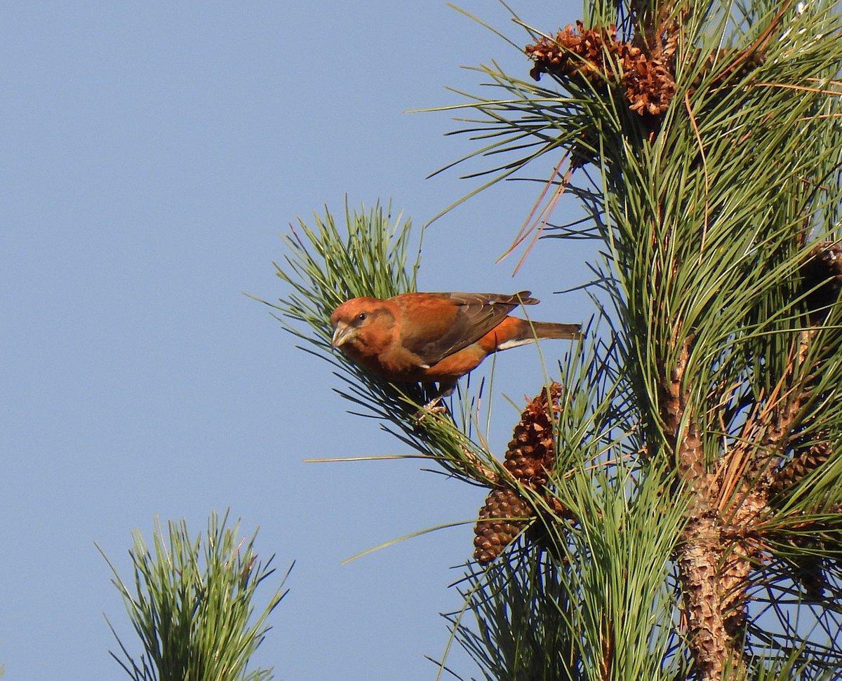 Tim Ballard tweet media